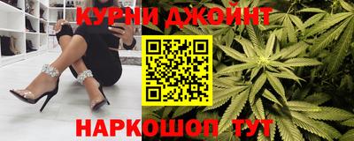 стаф Шелехов
