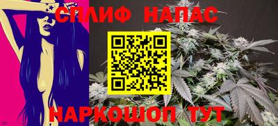 дмт Шахты