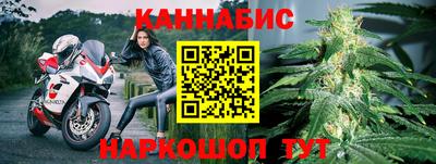 стаф Шелехов