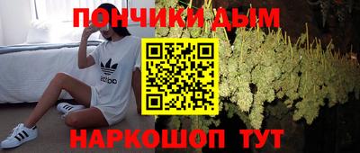 стаф Шелехов
