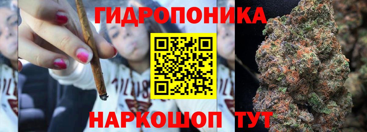 Конопля гибрид Великие Луки